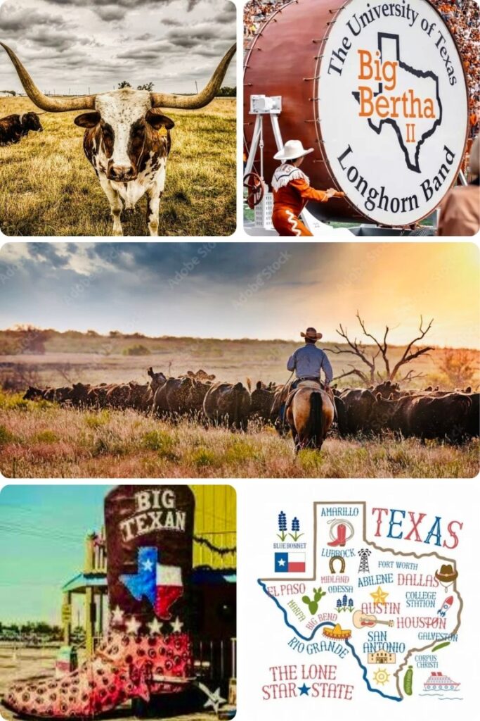image006 Bigness in Texas Collage
