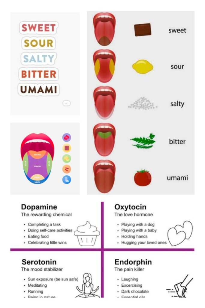 image009 UMAMI Collage