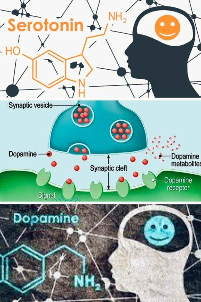 image010 Serotonin/Dopamine Collage
