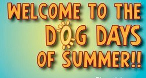 Bright gradient banner with bold orange text 'Welcome to the Dog Days of Summer!!' and a smiling sun graphic between the words.